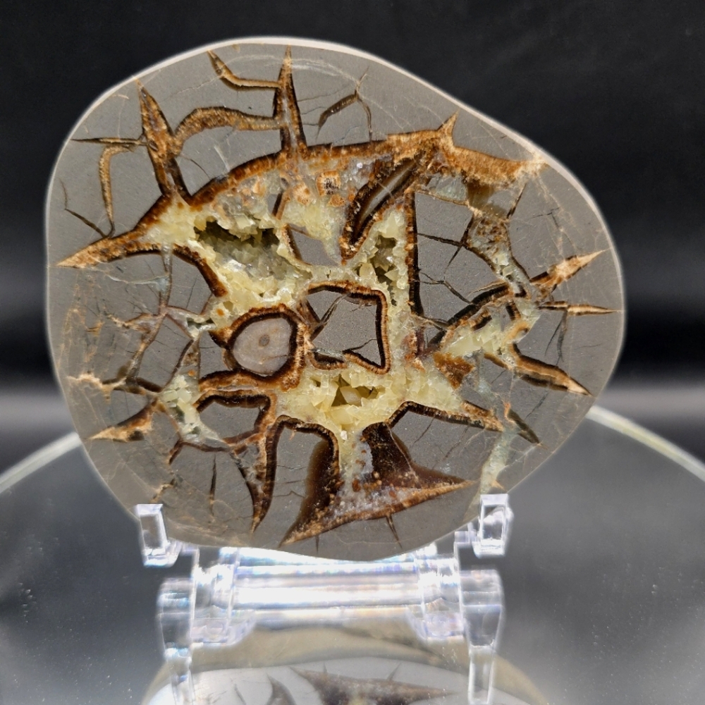 Septarian slab Utah #10